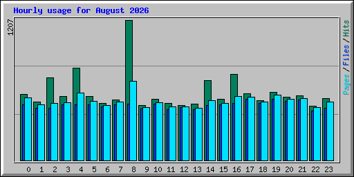 Hourly usage for August 2026